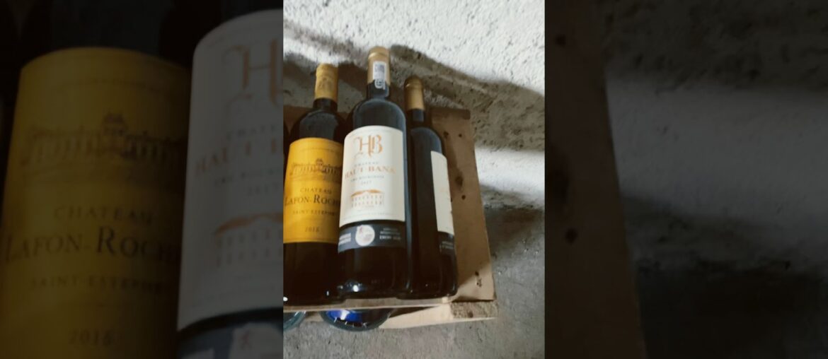 Entering the wine cellar 🍷🇫🇷 #shorts