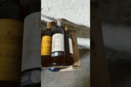 Entering the wine cellar 🍷🇫🇷 #shorts