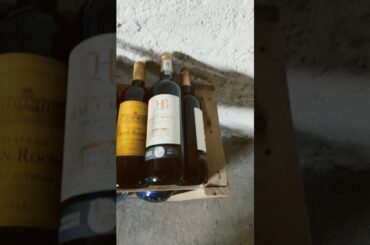 Entering the wine cellar 🍷🇫🇷 #shorts