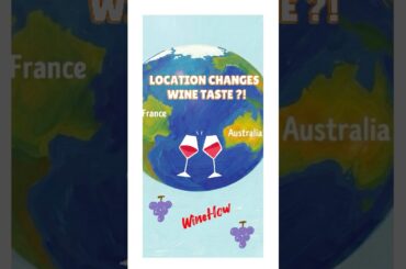 Why Your Shiraz Doesn’t Taste Like Syrah? #winehow  #wine