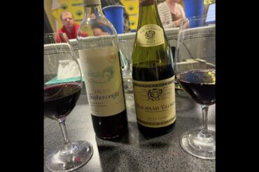 Wine Wednesday with Hailey Sundet - April 19