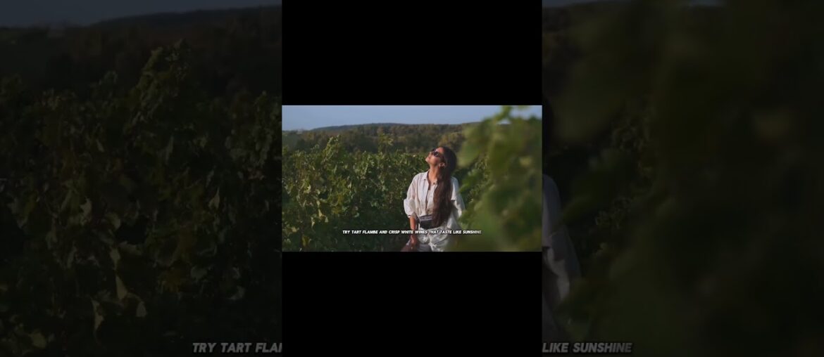 #tourism #france #paris #travel #traveling #travelvlog #travelshorts #shorts #shortvideo