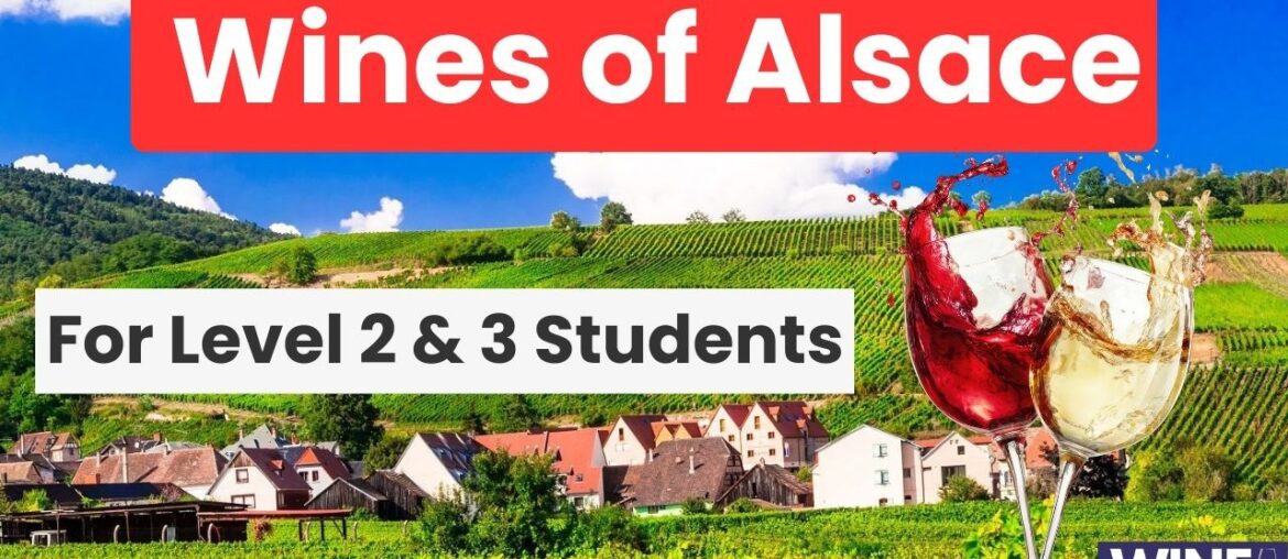 Alsace Grapes, Climate and Appellation Structure | WSET Level 2 and 3 | Wine Educate Podcast #107