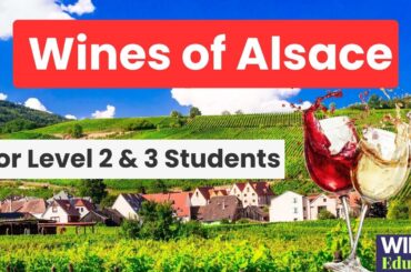 Alsace Grapes, Climate and Appellation Structure | WSET Level 2 and 3 | Wine Educate Podcast #107