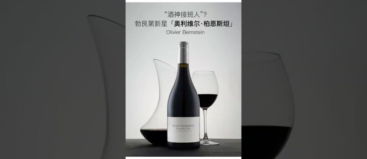 “酒神接班人”？ 勃艮第新星「奥利维尔·柏恩斯坦」 Olivier Bernstein