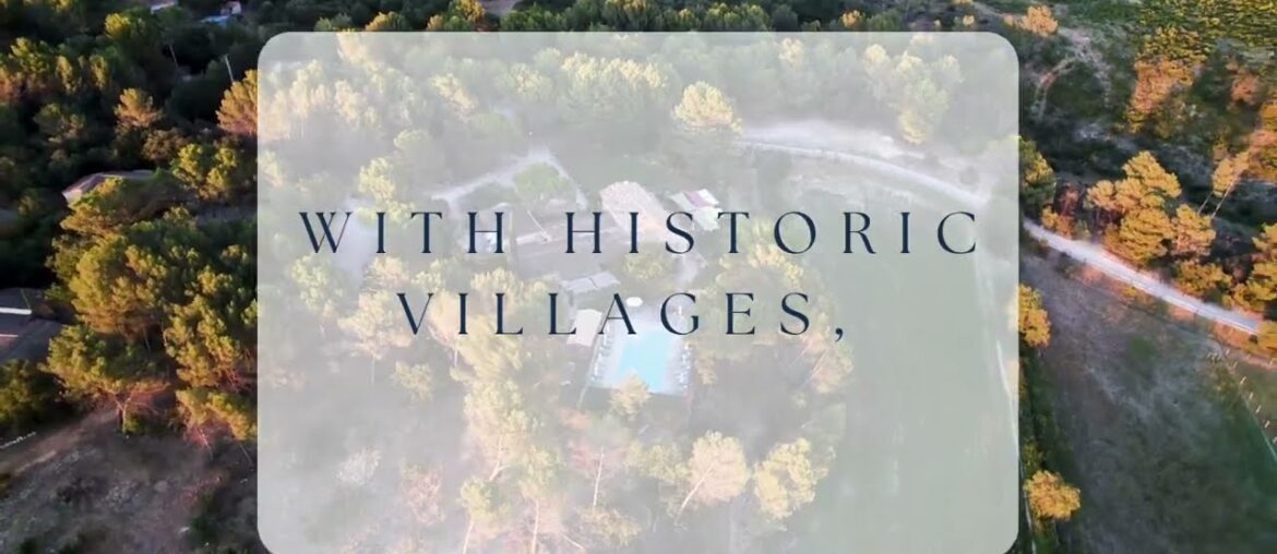 Chateau L’Escarelle Wines from Provence Featuring Palm Rose & Flora Rose