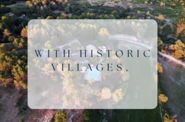 Chateau L’Escarelle Wines from Provence Featuring Palm Rose & Flora Rose