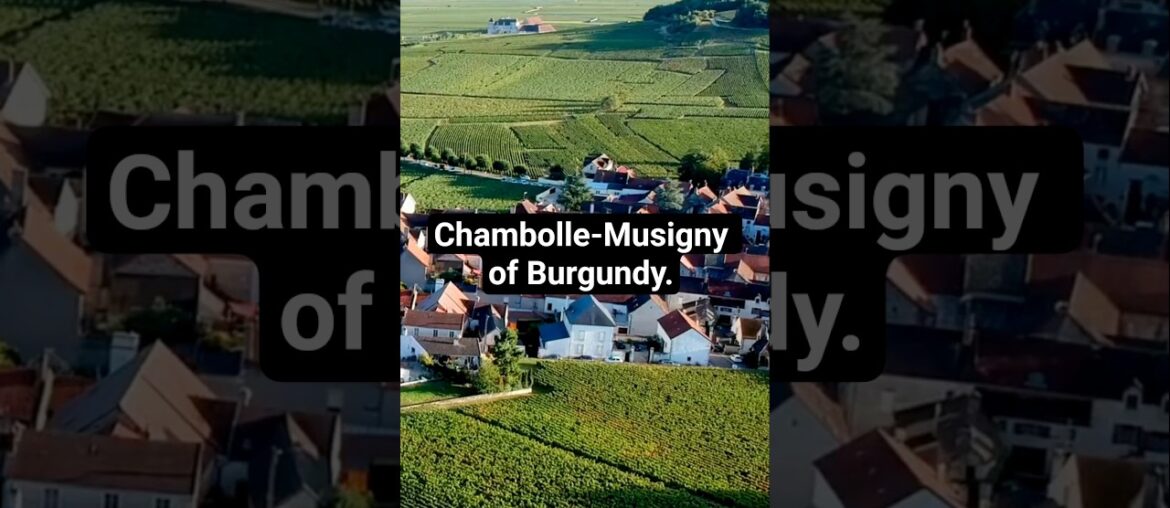 Chambolle-Musigny of Burgundy #wineeducation #burgundy #frenchwine