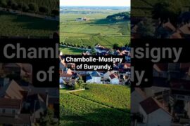 Chambolle-Musigny of Burgundy #wineeducation #burgundy #frenchwine