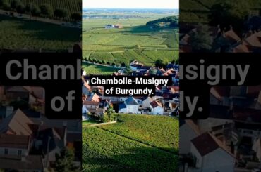 Chambolle-Musigny of Burgundy #wineeducation #burgundy #frenchwine