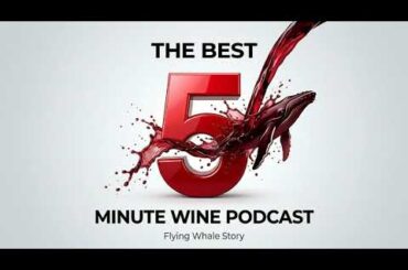 Met a Stranger, Filmed in a City of Trash, Ended Up Owning a French Winery — Pt. 2