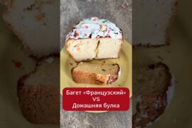 🥖 ⏳ 🍞 Почему багет заплесневел, а булка нет?