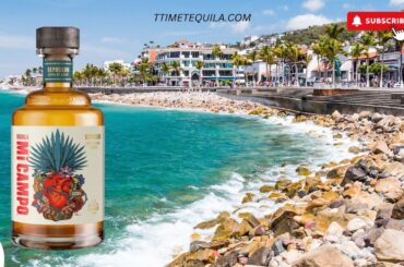 Mi Campo Reposado Tequila (Drink or Swim)