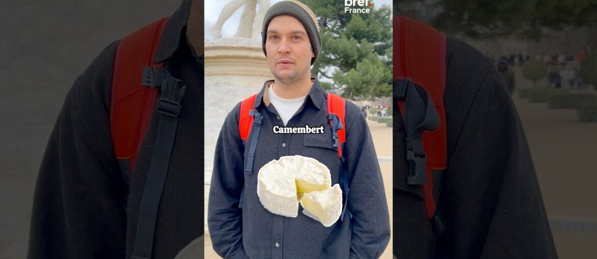 What is your favorite cheese? 🧀#paris #frenchculture #breffrance #fromage #frenchfood