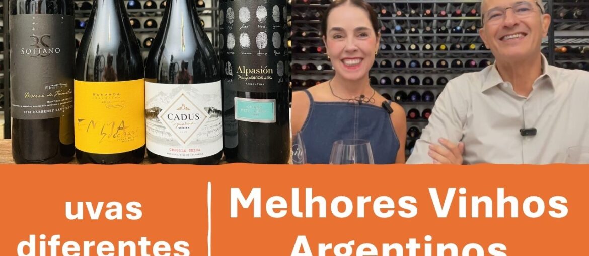 Melhores Vinhos Argentinos com  Uvas Diferentes