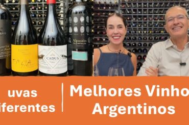 Melhores Vinhos Argentinos com  Uvas Diferentes