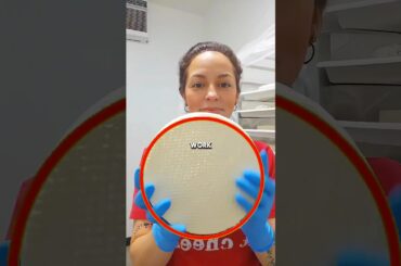 How Brie Cheese is Actually Made