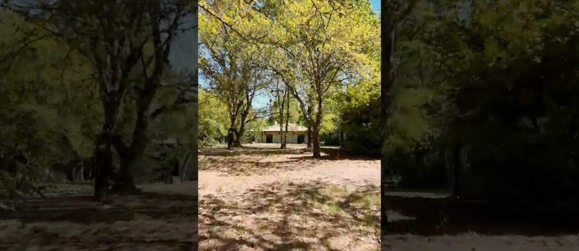 6 Hectares of Pure Nature… With a Pool & Private Pond 😳🌿 Maxwell-Baynes Real Estate GV1015