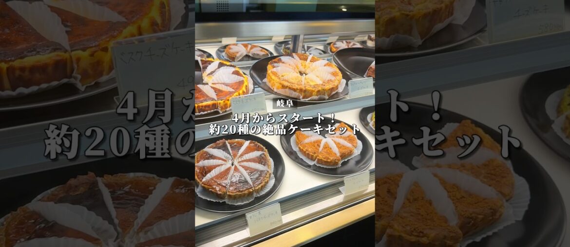 【岐阜】4月からスタート！約20種の絶品ケーキセット🍰
