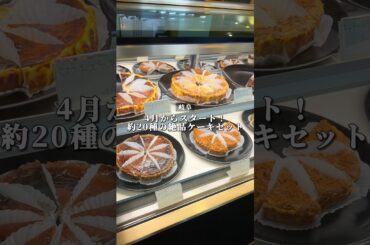 【岐阜】4月からスタート！約20種の絶品ケーキセット🍰