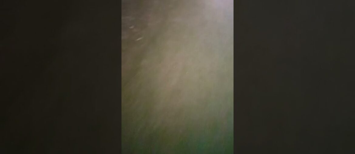 82 Minerals French Grey Sea Salt