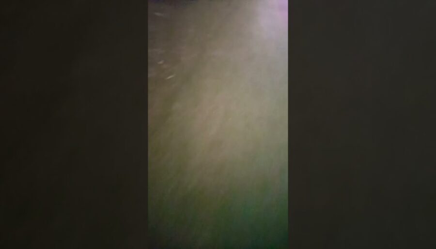 82 Minerals French Grey Sea Salt