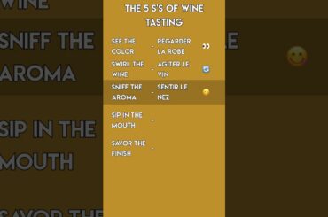 Wine Tasting in French! 🍷 Learn the 5 S's in French