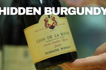 The 4 Grand Crus of Morey-Saint-Denis — Burgundy’s Most Overlooked Village