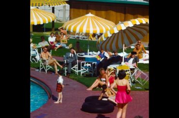 French Swimming Club - Orange Wine (Official Audio)