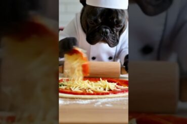 POV: You hired a Frenchie to make your Pizza 👨‍🍳🍕 | Funny Dog Chef
