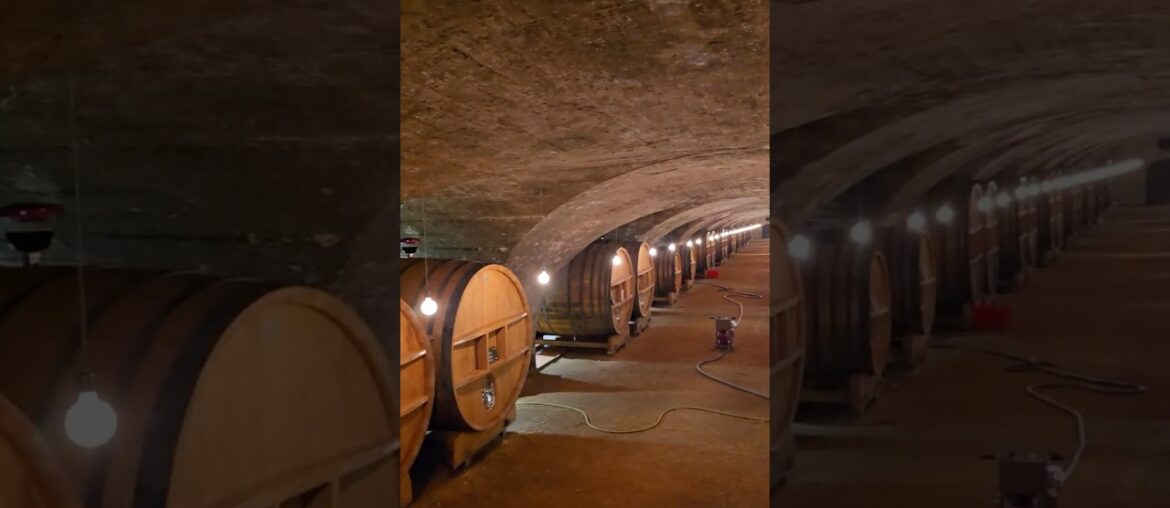 Enter Wine heaven at La Chaize Wine distillery , Bagnols, France | Our Tour De France 2026