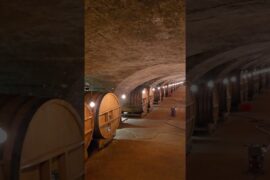 Enter Wine heaven at La Chaize Wine distillery , Bagnols, France | Our Tour De France 2026
