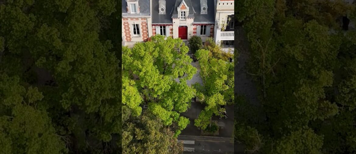 Luxury Seaside Home in France with Ocean View 🌊✨Maxwell-Baynes Real Estate SC1047