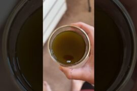 Making Yerba Mate Like Coffee (French Press Cold Brew)