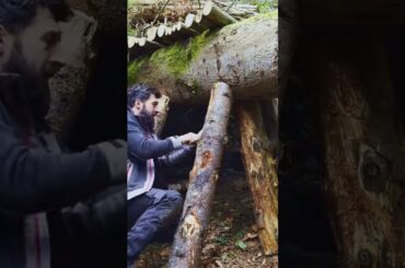 Build a safe hidden lunch and cook French food #shorts #camping #outdoors