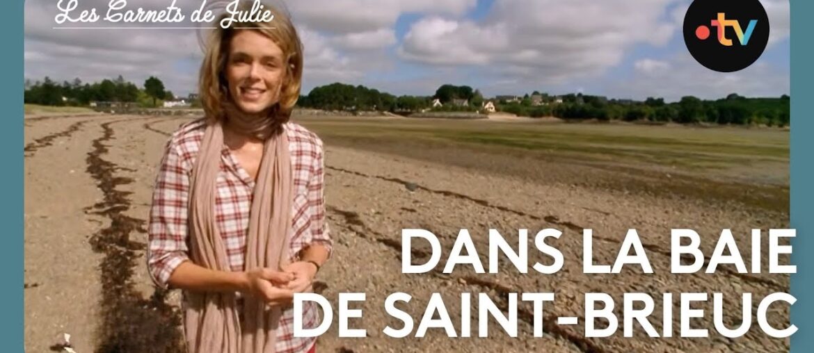 Les Carnets de Julie - La baie de Saint-Brieuc