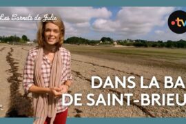 Les Carnets de Julie - La baie de Saint-Brieuc
