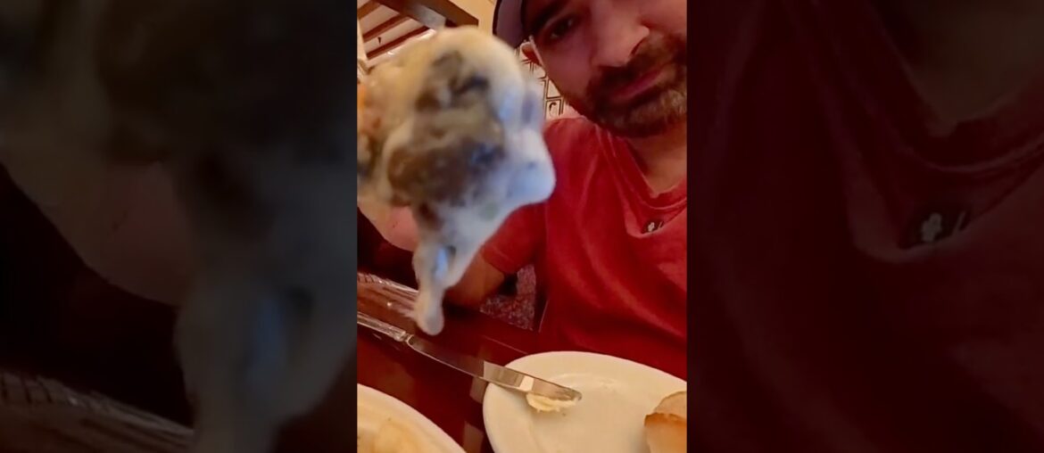 Escargot and the most delicious French Cuisine at the Hollywood Brown Derby at Hollywood Studios