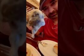 Escargot and the most delicious French Cuisine at the Hollywood Brown Derby at Hollywood Studios