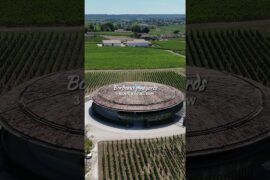 Three months from now, the Bordeaux vineyards will be in full bloom. 🌿🍇
