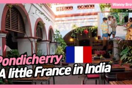 🇫🇷 A little piece of France in India_Part.1