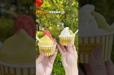 今年も始まった、リヨンで腕を磨いたシェフご自慢のこだわりジェラート #グルメ #千葉県 #千葉グルメ