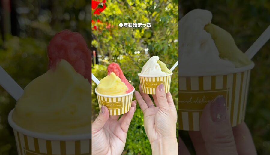 今年も始まった、リヨンで腕を磨いたシェフご自慢のこだわりジェラート #グルメ #千葉県 #千葉グルメ