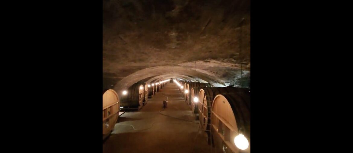 Going down the Wine Cave at La Chaize Wine distillery , Bagnols, France | Our Tour De France 2026