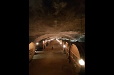 Going down the Wine Cave at La Chaize Wine distillery , Bagnols, France | Our Tour De France 2026