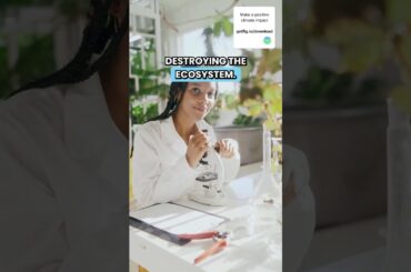 Mushrooms Are Saving French Wine 🍷🍄