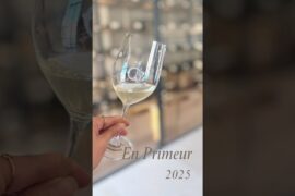 En Primeur 2025 — a first reading from Bordeaux #bordeaux #frenchwine #winelover #bordeauxwine #wine