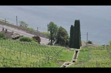 French Riviera , La Pearle to Montreux, Wine Region, CGN Cruises, Swiss Wine Region