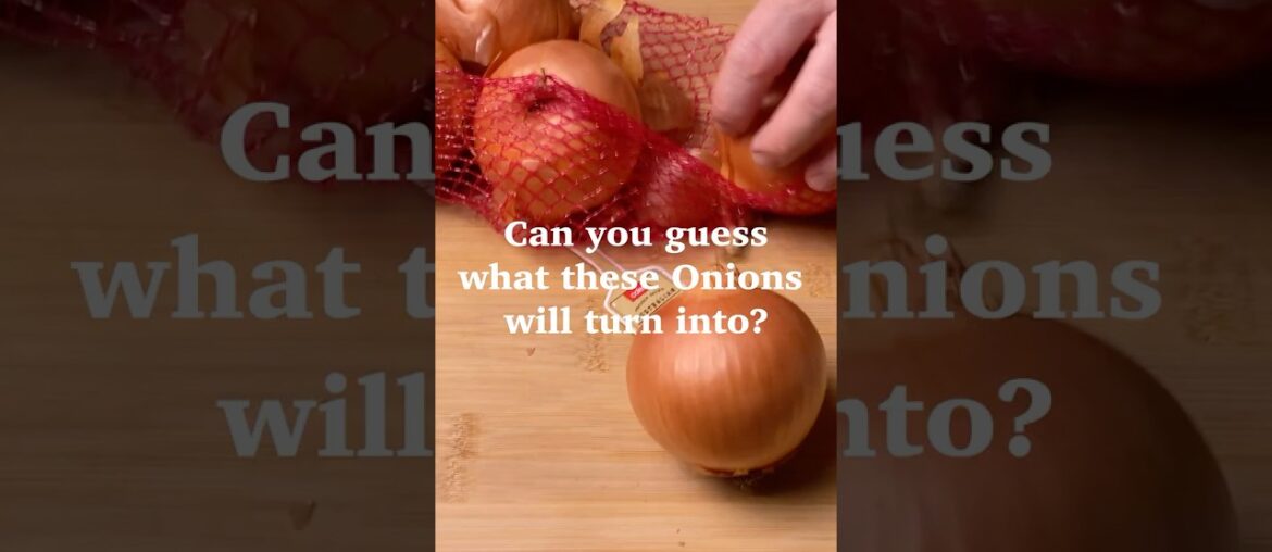 Can You Guess What These Onions Will Turn Into? #foodexperiment #cooking #frenchonionsoup #sausage