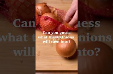 Can You Guess What These Onions Will Turn Into? #foodexperiment #cooking #frenchonionsoup #sausage